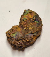 Iridescent Coral Leklai